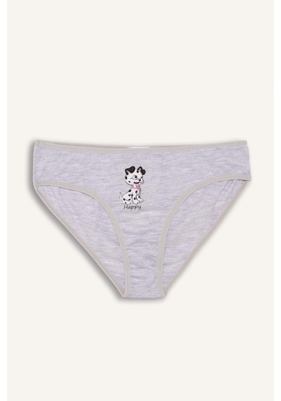 Defacto Desenli Penye 3lü Slip Külot Kız Çocuk H5945a826smgr101 Gri-gr101