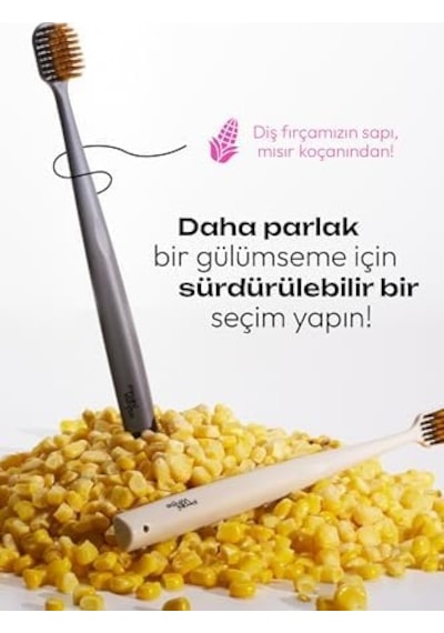 Diş Fırçası Himalaya - Gri Açık Ahşap
