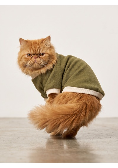 Natura Kedi Polar Sweatshirt Kapüşonsuz Yumuşak Polar Kedi Kıyafeti Nefti Yeşil