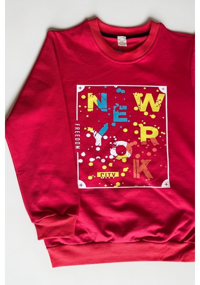 Minik Motion 3'lü Set Çocuk Baskılı 2 İplik Penye Sweatshirt Lacivert - Kırmızı - Füme