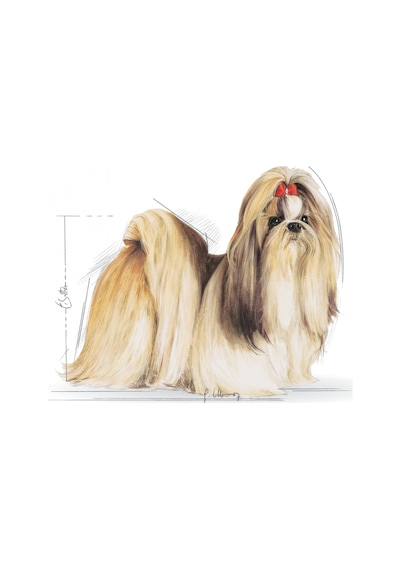 Royal Canin Shih Tzu Yetişkin Köpek Maması 1.5 KG