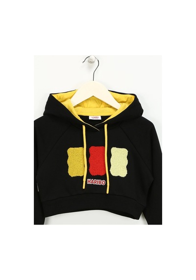 Haribo Siyah Kız Çocuk Kapüşonlu Cropped Fit İşlemeli Sweatshirt Hrbtxt311 Siyah