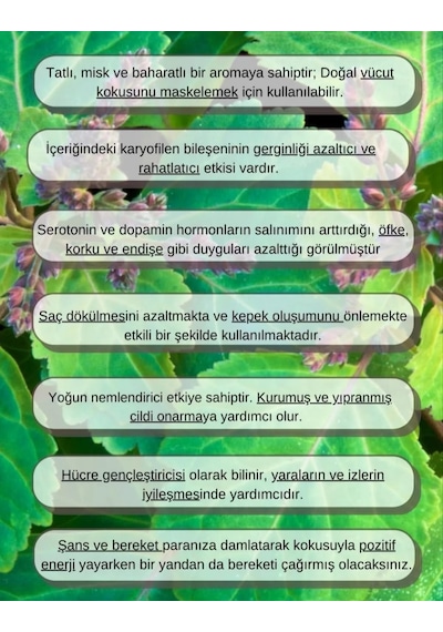 Lavendrose Paçuli Yağı %100 Saf Bitkisel Aromaterapi 10ml