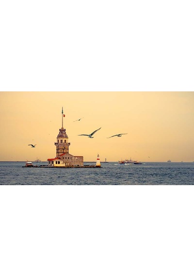 Kız Kulesi Ve Martılar Duvar Kağıdı