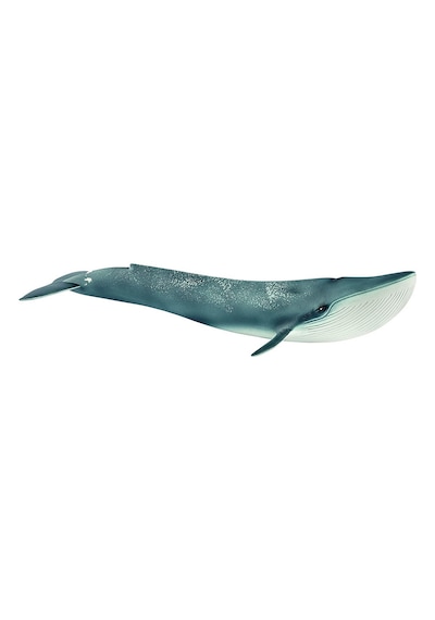 Schleich Mavi Balina 14806