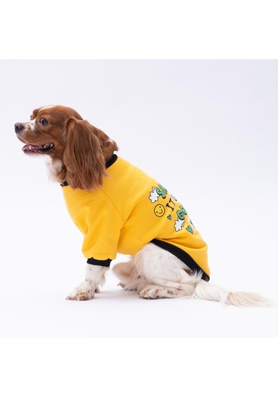 Yellow Loviisa Polarlı Küçük Irk Köpek Sweatshirtü L Sarı