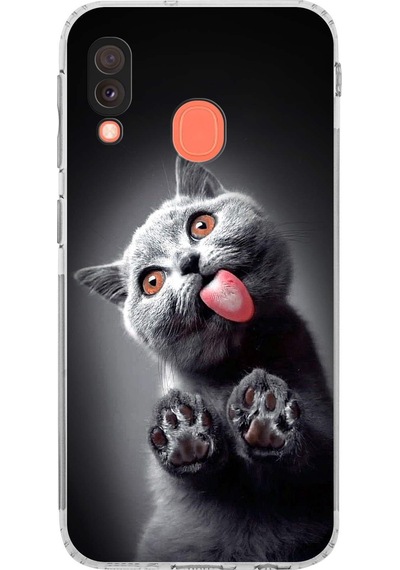 Samsung Galaxy A20e İle Uyumlu Kedi 2 Kamera Korumalı Şeffaf Kılıf Şeffaf