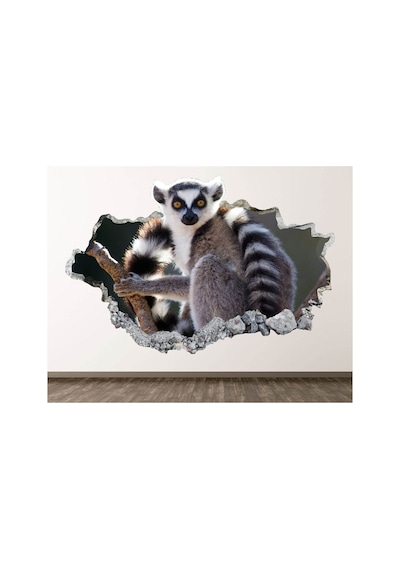 Vahşi Doğa Muhteşem Hayvanlar Full Hd Baskı 3d Modern Duvar Sticker