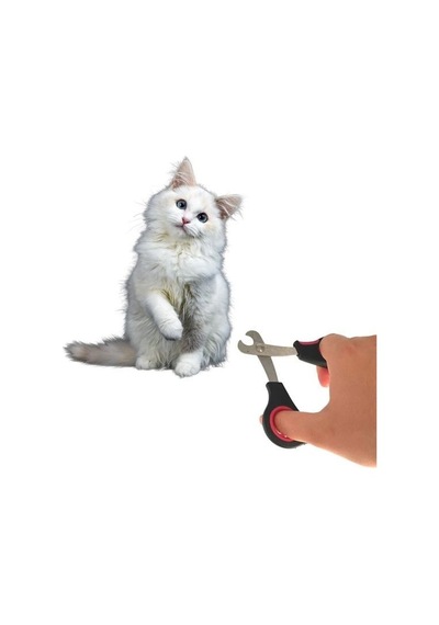 Büro Ev Evcil Hayvanı İçin Mini Çelik Uç Kedi Köpek Pati Tırnak Bakım Makası