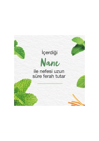 Himalaya Mint Fresh Ferahlatıcı Diş Macunu 3 x 75 ML