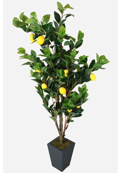 Yapay Çiçek Deposu Ahşap Mdf Saksıda Yapay Lüx Limon Ağacı 200 Cm