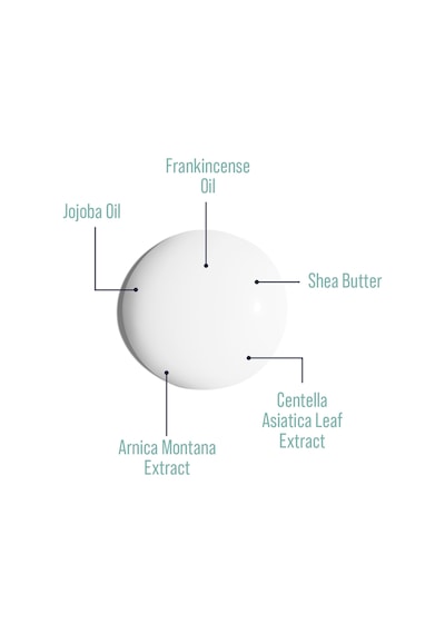 Daily Hydrating Moisturizer Cream Jojoba Oil Shea Butter 24 Saat Etkili Nemlendirici
