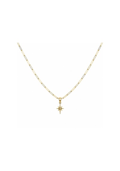 14 Ayar Kutup Yıldızı Altın Kolye 45 Cm T14787 Çok Renkli