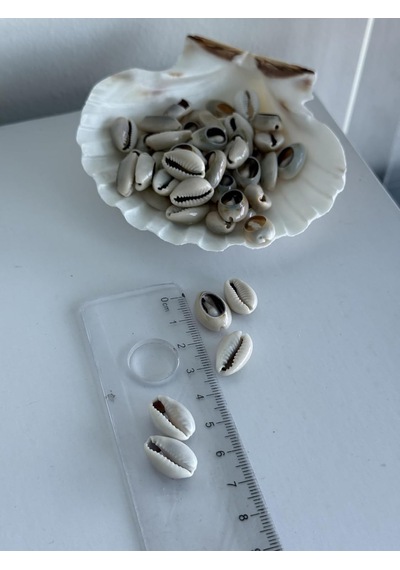 160 Adet Deniz Kabugu/kesik Anullus/tazı Boncugu / 1-2 Cm Diğer