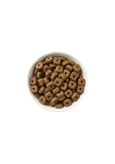 Zampa Plus Kısırlaştırılmış Kediler İçin Somon Etli Premium Kuru Mama 15 KG