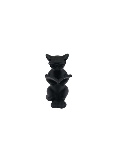Kitaplık Aksesuarı - Kitap Okuyan Kedi 0