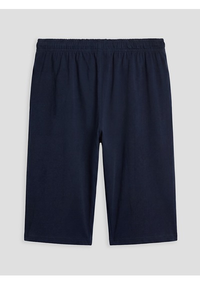 Lc Waikiki Lc Waıkıkı Lacivert Regular Fit Erkek Şort