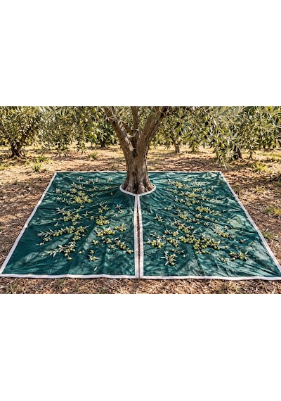 Zeytin Toplama Filesi - Ağaca Geçirmeli %95'lik Şeritli Halkalı -zeytin Sergenlik Yeşil