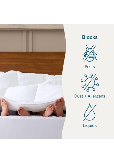 Lexroo Encasement Mattress Protector - Queen/white Çok Renkli
