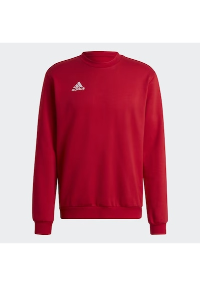 Adidas Hb0577 Ent22 Sw Top Erkek Sweatshirt renkli
