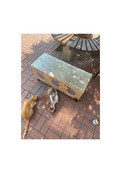 Kedi Yuvası Kedi Evi Kediyatağı 3 Bölmeli 90x35x37 Cm Ayaklı