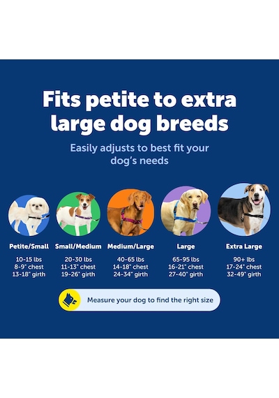Tr Easy Walk Köpek Koşum Takımı Genel