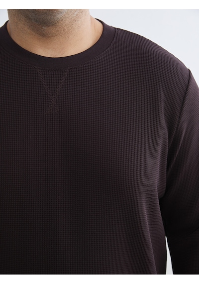 Lcwaıkıkı Classic Mürdüm Bisiklet Yaka Erkek Sweatshirt
