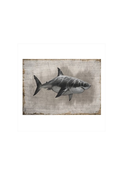 Bedeko Köpekbalığı Dekoratif Mdf Tablo 25 Cm X 35 Cm