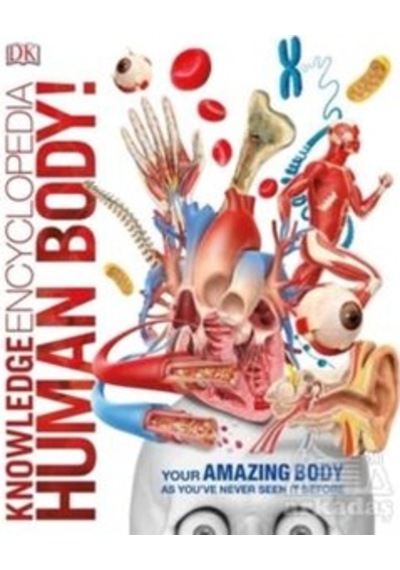 Knowledge Encyclopedia Human Body 9780241286852