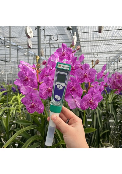 Nieuwkoop Ph1 Kalem Tip Ph Metre 0.00 14.00 Ph2620
