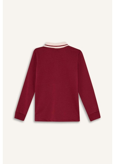 Defacto Erkek Çocuk Polo Yaka Baskılı Tişört G6291a826spbr284 Bordo-br284