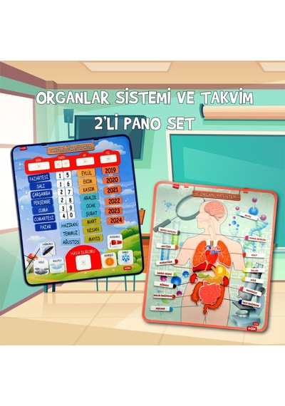 2 Set - 69 Parça Tox Iç Organlar ve Takvimi Öğreniyorum Keçe Cırt