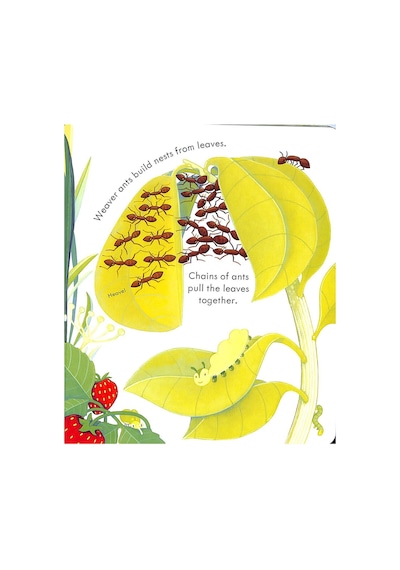 The Usborne Peep Inside Bug Homes