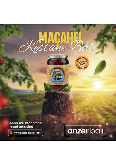 Buzluhan Analiz Raporlu Maçahel Kestane Balı 1 KG