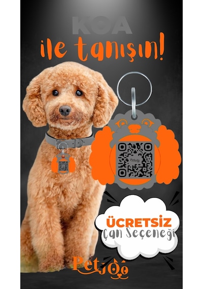 Petjoo 14.Koa Turuncu-Gri Qr'lı Köpek Künyesi