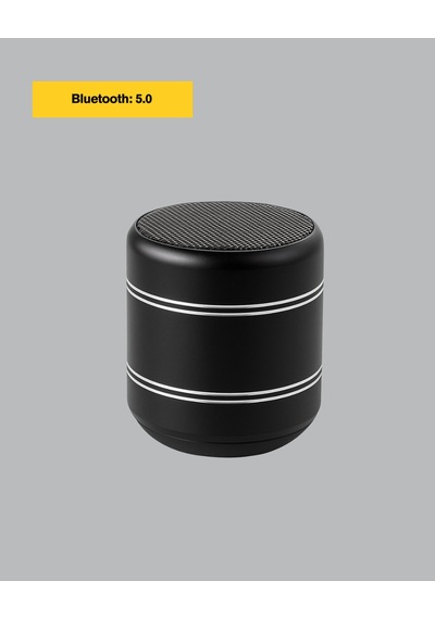 Mini Alüminyum Bluetooth Hoparlör Yüksek Bas Performansı -