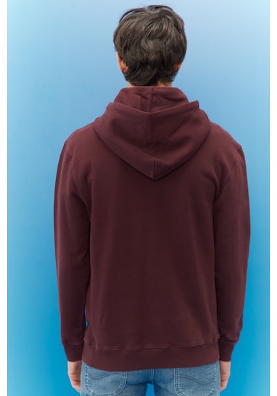 Lee Regular Fit Normal Kesim %100 Pamuk Kapüşonlu Şardonlu Sweatshirt L80YRY74 Çok Renkli