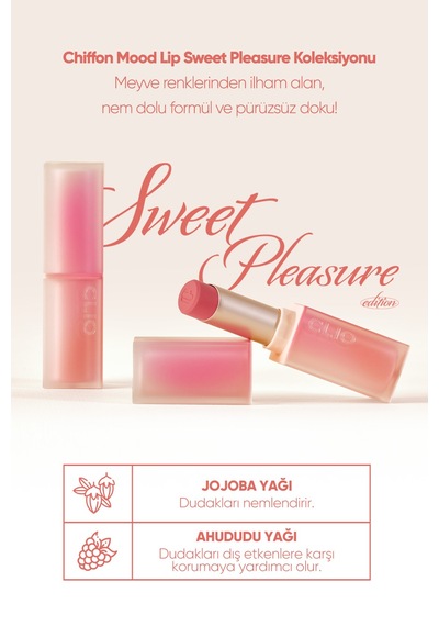 Clio Chiffon Mood Lip 08 Tangerine Tarte