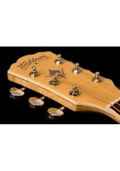 Washburn Ea20 Festival Serisi Elektro Akustik Gitar İnce Kasa Thinline Sahne Performansı Klasiği