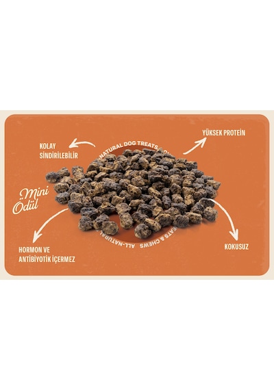 Baffs Naturals Kuzu Mini Atıştırmalık Köpek Ödül Maması 100 G