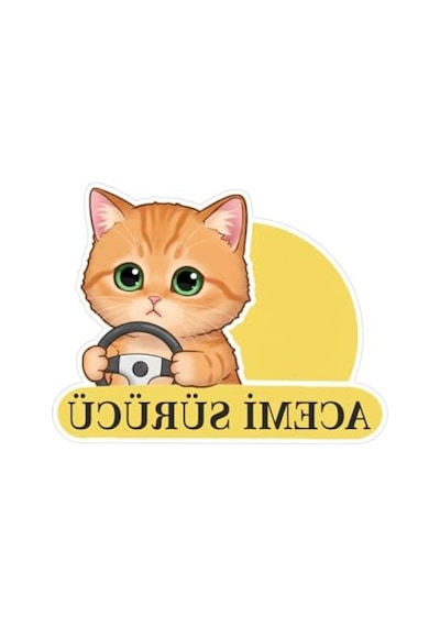 Sevimli Kedi Temalı Renkli Araba Etiketi Ve Sticker Seti Abanoz