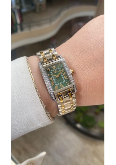 Ferro Quartz Çelik Altın/gri Yeşil Kadran 22 Mm Kadın Kol Saati