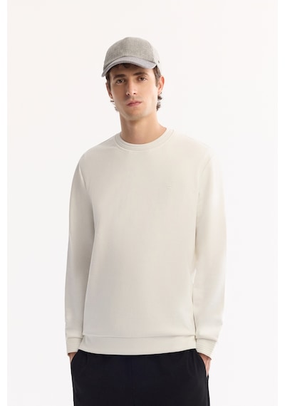 Avva Erkek Ekru Bisiklet Yaka Pamuklu Bi-stretch Regular Fit Sweatshirt A52y1271