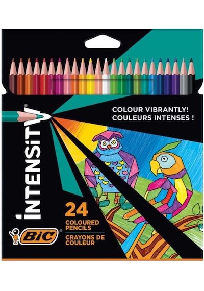 Bic İntensity Kuru Boya Kalemi 24 Renk