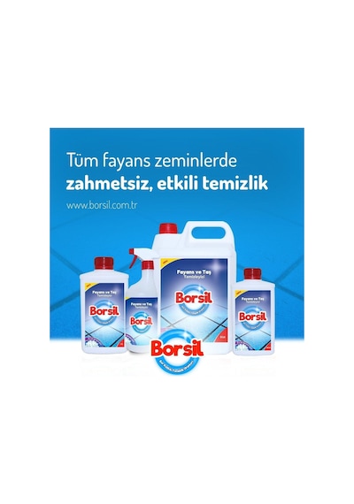 Fayans Ve Taş Temizleyicisi 500 Ml Tekli
