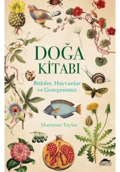 Doğa Kitabı: Bitkiler-Hayvanlar ve Gezegenimiz  - Marianne Taylor  - Maya Kitap