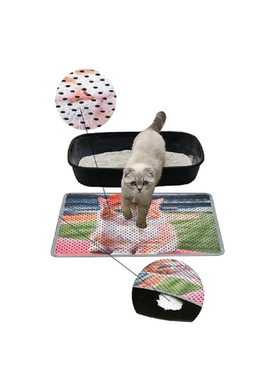 Kar Mat Kedi Tuvaleti Paspası Delikli Kedi Kumu Paspası Şapkalı