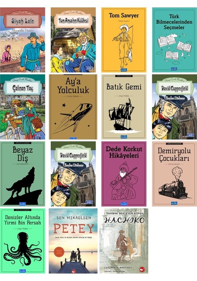 Beyaz Balina Yayınları Petey Hachiko Sahibini Bekleyen Köpek 15 Kitap Okuma Seti