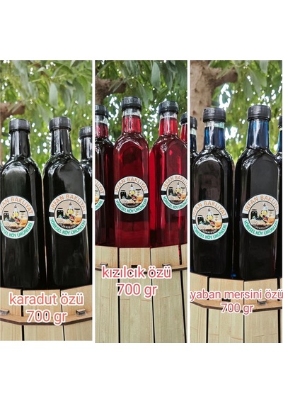 Eko 3 Lü Karadut Özü,kızılcık Özü,yaban Mersini Özü 3 700 Gr Diğer