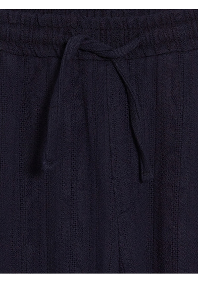 Lcw Vision Lacivert Regular Fit Erkek Şort